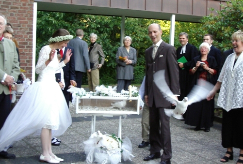 Alle Tauben